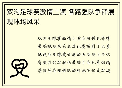 双沟足球赛激情上演 各路强队争锋展现球场风采