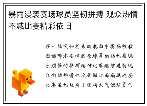 暴雨浸袭赛场球员坚韧拼搏 观众热情不减比赛精彩依旧
