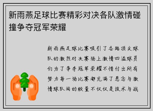 新雨燕足球比赛精彩对决各队激情碰撞争夺冠军荣耀
