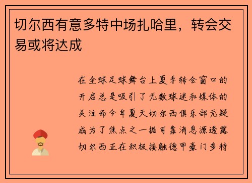 切尔西有意多特中场扎哈里，转会交易或将达成