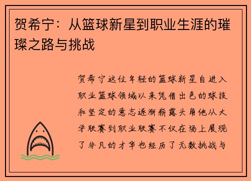 贺希宁：从篮球新星到职业生涯的璀璨之路与挑战