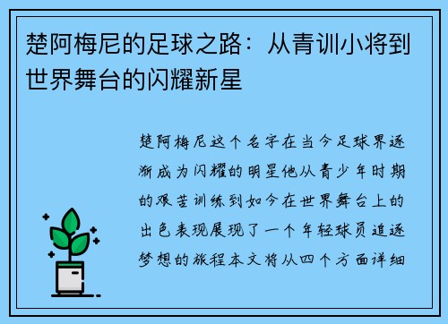 楚阿梅尼的足球之路：从青训小将到世界舞台的闪耀新星